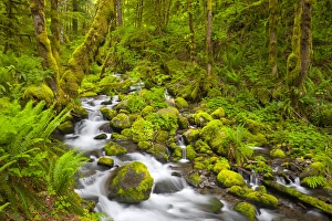 Images Dated 8th June 2011: USA, Oregon. Ruckle Creek in springtime, in the Columbia Gorge, Oregon