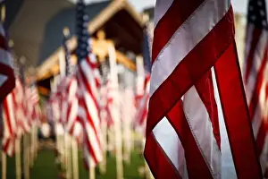 Old Glory Prints: USA, Oregon, Salem, flags out for 10 year anniversary of 9 / 11