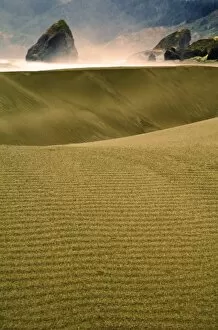 USA, Oregon. Sand dunes in late light along coast