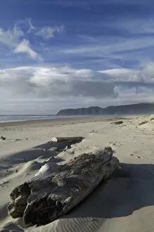 USA, Oregon, Sand Dunes and Ocean, Pacific City