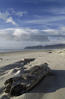 Images Dated 31st December 2005: USA, Oregon, Sand Dunes and Ocean, Pacific City