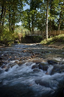 Images Dated 9th October 2012: USA, Oregon, Scio, Crabtree Creek in early Autumn, from Larwood Wayside. Digital Composite