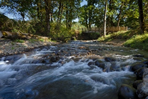 Rick A Brown Prints: USA, Oregon, Scio, Crabtree Creek in early Autumn, from Larwood Wayside. Digital Composite
