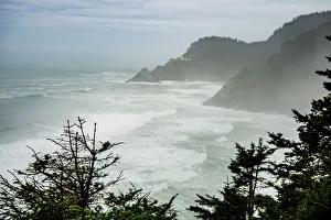 Mountainside Prints: USA, Oregon. Seal Cove in fog on Pacific Coast Scenic Byway between Florence and Newport
