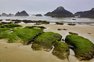 USA, Oregon, Seal Rock State Park. Rocky beach at low tide