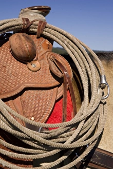 Saddle Prints: USA, Oregon, Seneca, Ponderosa Ranch. Detail of saddle and rope