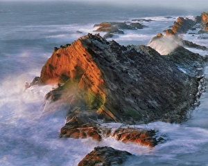 Images Dated 22nd October 2015: USA, Oregon, Shore Acres State Park. Sunset light on ocean shore cliffs. Credit as