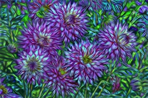 USA, Oregon, Shore Acres State Park. Abstract of dahlias in garden