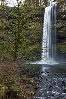 Images Dated 1st February 2011: USA, Oregon, Silver Falls State Park, South Falls, Digital Composite, HDR