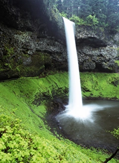 USA, Oregon, Silver Falls State Park, View of South Silver National Forest