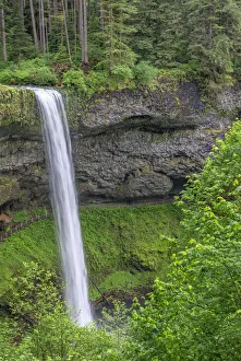 USA, Oregon. Silver Falls State Park, spring flow of South Fork Silver Creek plunges