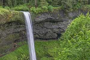 State Park Prints: USA, Oregon. Silver Falls State Park, spring flow of South Fork Silver Creek plunges
