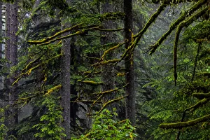 USA, Oregon, Silver Falls State Park