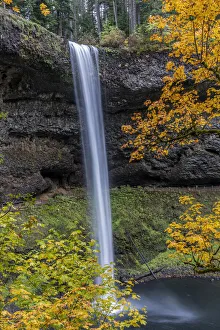 USA, Oregon, Silver Falls State Park. Tall waterfall and forest in autumn
