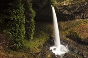 Images Dated 7th February 2011: USA, Oregon, Silver Falls State Park, North Falls