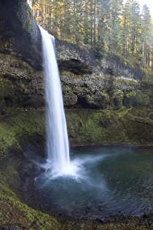 Images Dated 1st February 2011: USA, Oregon, Silver Falls State Park, South Falls