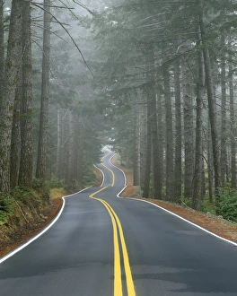 Images Dated 20th March 2013: USA, Oregon, Sisiyou National Forest