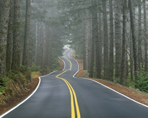 USA, Oregon, Sisiyou National Forest