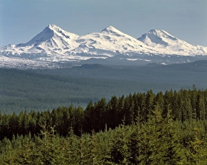 Three Sisters Prints: USA, Oregon, Three Sisters. The Three Sisters stand tall above the forests of