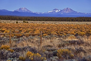 Images Dated 25th August 2009: USA, Oregon, Sisters, view of Three Sisters, Cascade Range, sunrise