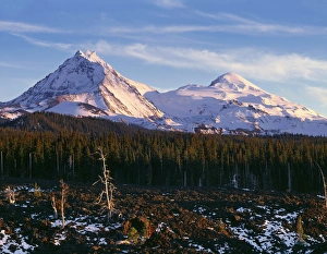 Subalpine Prints: USA, Oregon, Three Sisters Wilderness, Evening light on North (left) and Middle Sister