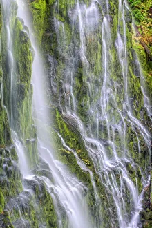 Inspiring Prints: USA, Oregon, Three Sisters Wilderness Area. Lower Proxy Falls