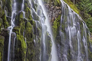 Inspiring Prints: USA, Oregon, Three Sisters Wilderness Area. Lower Proxy Falls