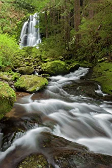 View From Below Prints: USA, Oregon, Siuslaw National Forest. Upper Kentucky Falls
