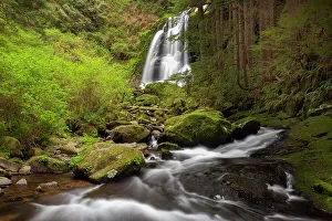 View From Below Prints: USA, Oregon, Siuslaw National Forest. Upper Kentucky Falls