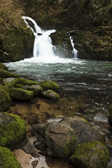 USA, Oregon, Siuslaw National Forest, Sweet Creek Falls