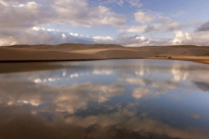 Images Dated 28th May 2006: USA, Oregon, Siuslaw National Forest, Umpqua Dunes. Contrast of a lake next to sand dunes