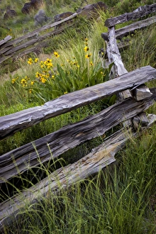Images Dated 26th May 2015: USA, Oregon, Smith Rock State Park. Split rail fence scenic