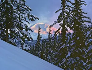 Frigid Prints: USA, Oregon, South Sister. Winter sunrise light colors the South Sister