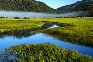 Sparks Lake Prints: USA, Oregon, Sparks Lake. Misty landscape