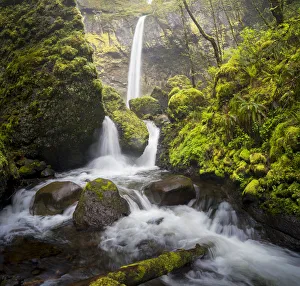 Gary Luhm Prints: USA, Oregon. Spring view of McCord Creek flowing below Elowah Falls in the Columbia River Gorge
