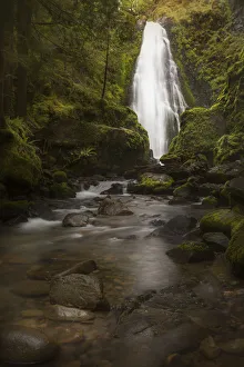 Images Dated 23rd April 2016: USA, Oregon, Umpqua National Forest. Susan Creek Falls in mossy gorge. Credit as