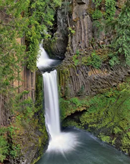 Images Dated 13th May 2020: USA, Oregon, Umpqua National Forest. Toketee Falls landscape