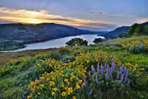 USA, Oregon. View of Lake Bonneville at sunrise