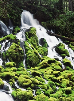 Long Exposure Prints: USA, Oregon, View of mossy Umpqua National Forest