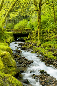 Images Dated 20th April 2014: USA, Oregon, Wahkeena Falls. Locatged along I-84, the Columbia River Gorge Scenic