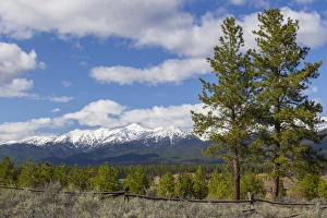 Images Dated 15th April 2016: USA, Oregon, Wallowa Whitman National Forest. Valley and snow-covered mountains. Credit as