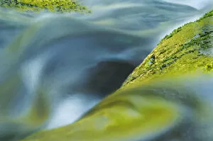 USA, Oregon. Water flow over rocks in creek