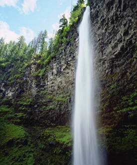 High Prints: USA, Oregon, A waterfall in an Old Growth Forest