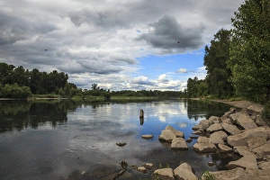 Willamette River Prints: USA, Oregon, Willamette Mission State Park, the Willamette River from the Wheatland
