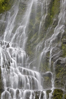 Images Dated 18th October 2008: USA, Oregon, Willamette National Forest. View of Proxy Falls water cascading over