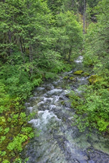 Images Dated 16th June 2016: USA, Oregon, Willamette National Forest, Opal Creek Scenic Recreation Area, Battle