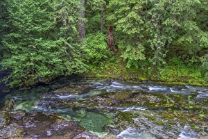 Opal Creek Wilderness Prints: USA, Oregon, Willamette National Forest, Opal Creek Scenic Recreation Area, Little
