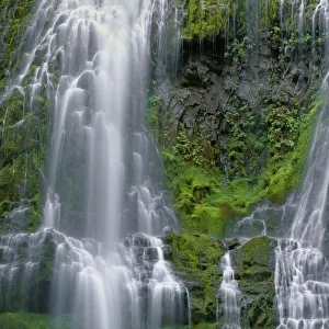 Images Dated 7th July 2017: USA, Oregon, Willamette National Forest. Three Sisters Wilderness, Lower Proxy Falls