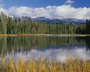 Images Dated 5th September 2018: USA, Oregon, Willamette National Forest. Scott Lake in autumn with the Three Sisters
