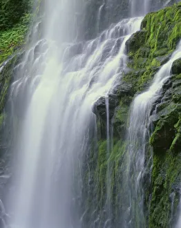 Images Dated 3rd September 2018: USA, Oregon, Willamette National Forest. Three Sisters Wilderness, Lower Proxy Falls